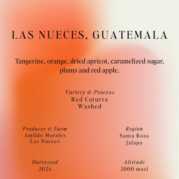 Las Nueces (Guetamala) - Specialty kávé 250gr - Espresso